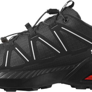Salomon